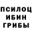 Псилоцибиновые грибы мицелий Hectir Barrera