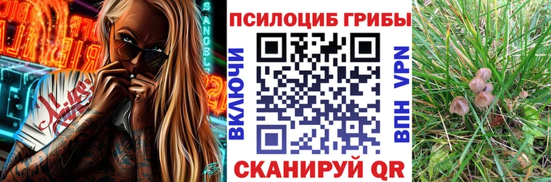 Псилоцибиновые грибы Cubensis  хочу наркоту  MEGA ссылки  Горбатов 
